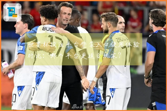 世界杯投注平台登录入口使用体验对比：哪个平台更适合玩家？
