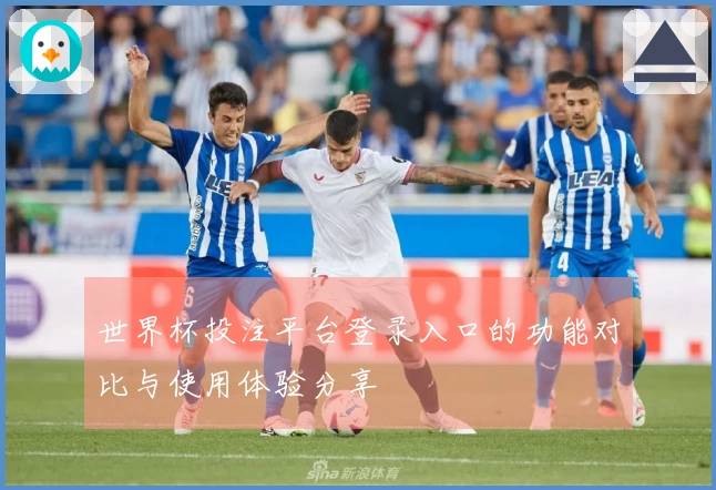 世界杯投注平台登录入口的功能对比与使用体验分享