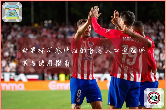 世界杯买球地址的官方入口全面说明与使用指南