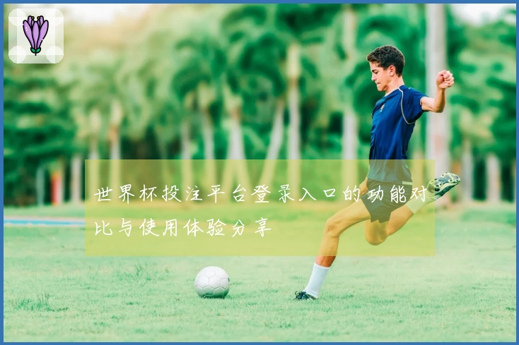 世界杯投注平台登录入口的功能对比与使用体验分享