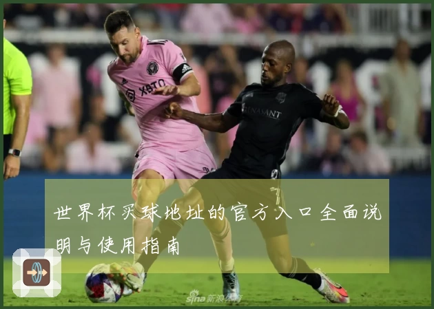 世界杯买球地址的官方入口全面说明与使用指南